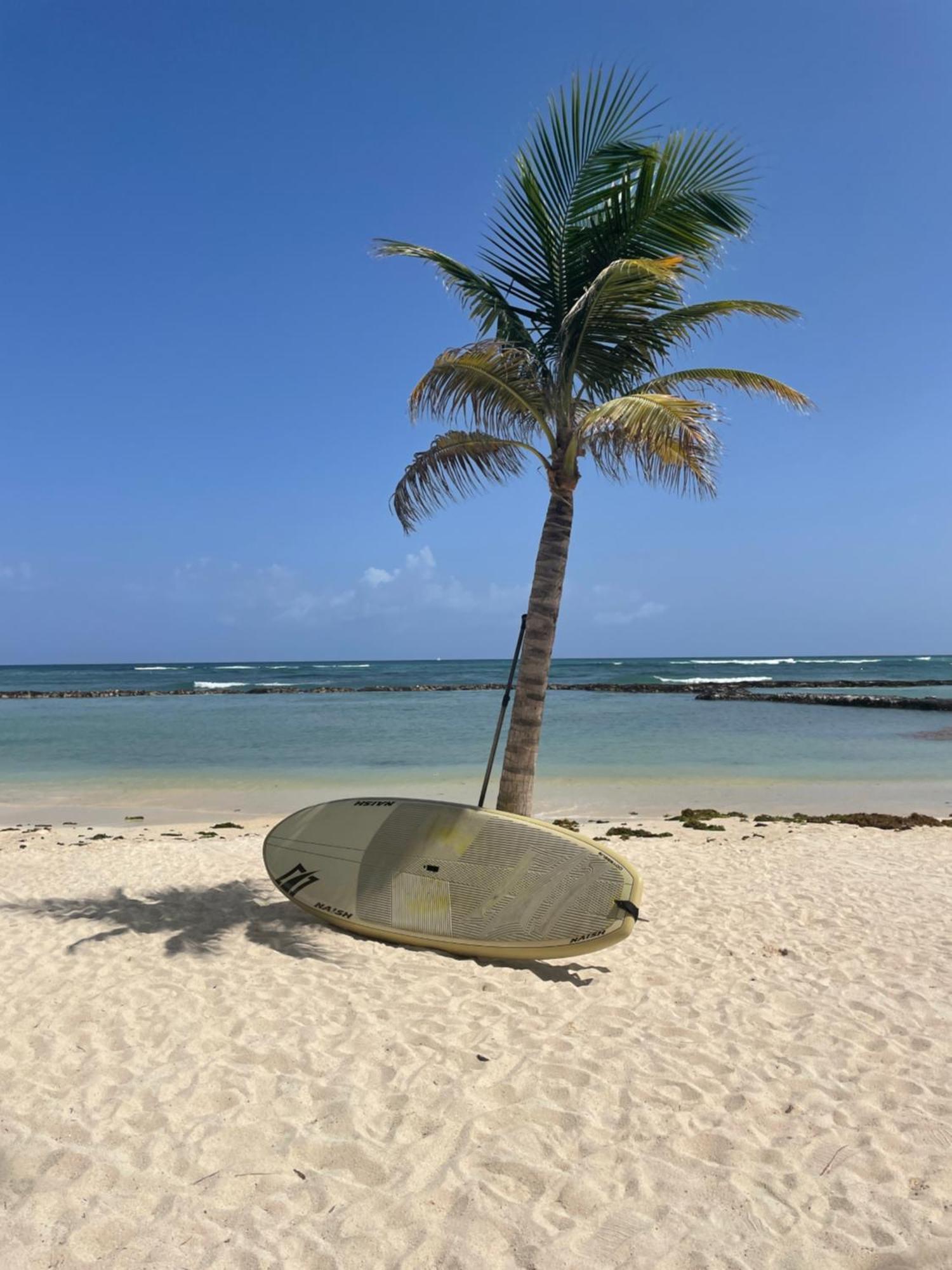 Casa Manglar Riviera Maya プエルト・アベントゥラス エクステリア 写真